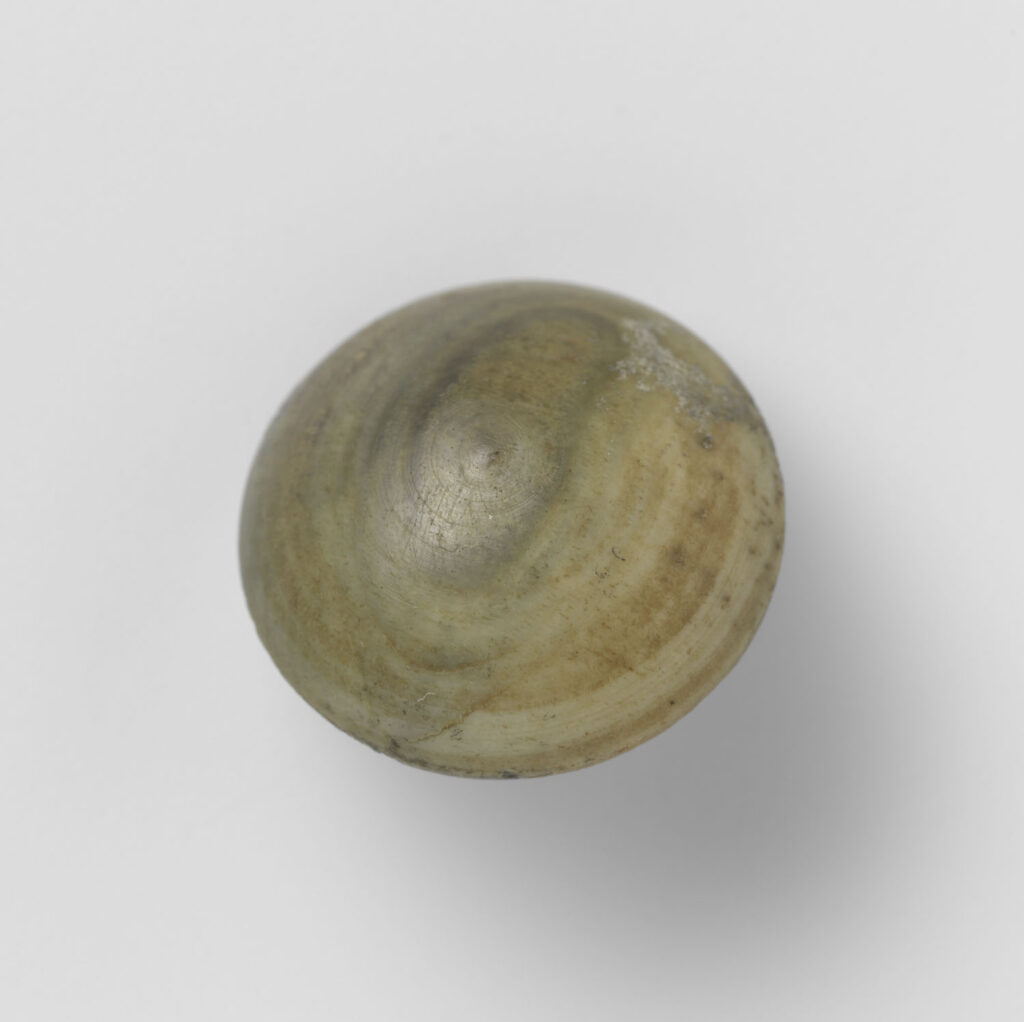 Objecten van Maritiem MuZEEum Vlissingen